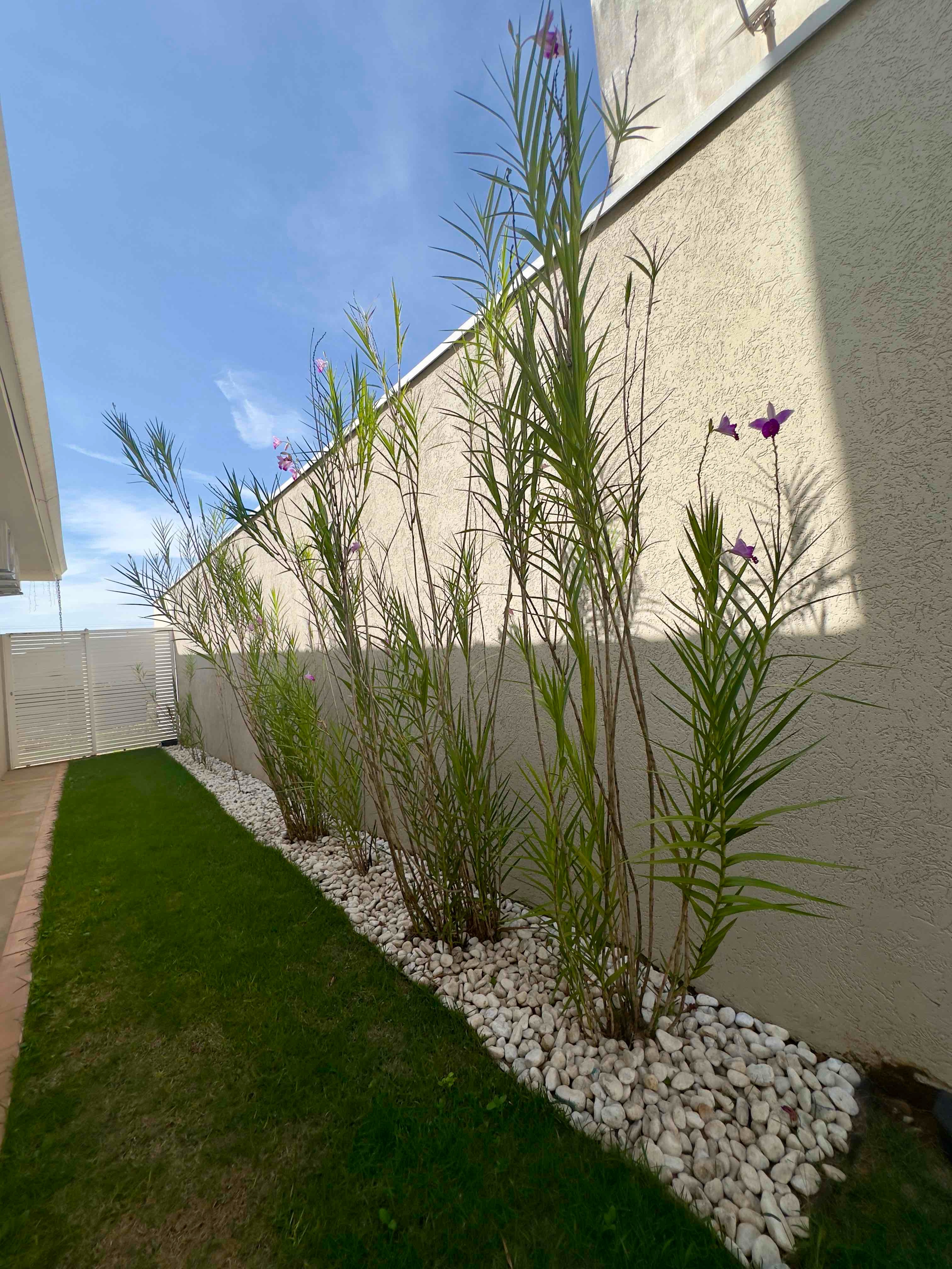 Imagens do imóveis Casa em condomínio à Venda, 3 quartos com área de lazer , Mogi Mirim, SP