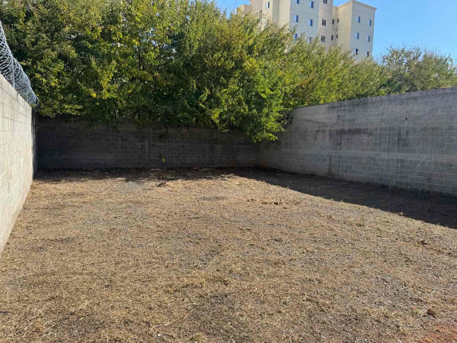 Imagens do imóveis Galpão / Barracão para locação Avenida Pedro Botesi, Jardim Scomparim, Mogi Mirim, SP