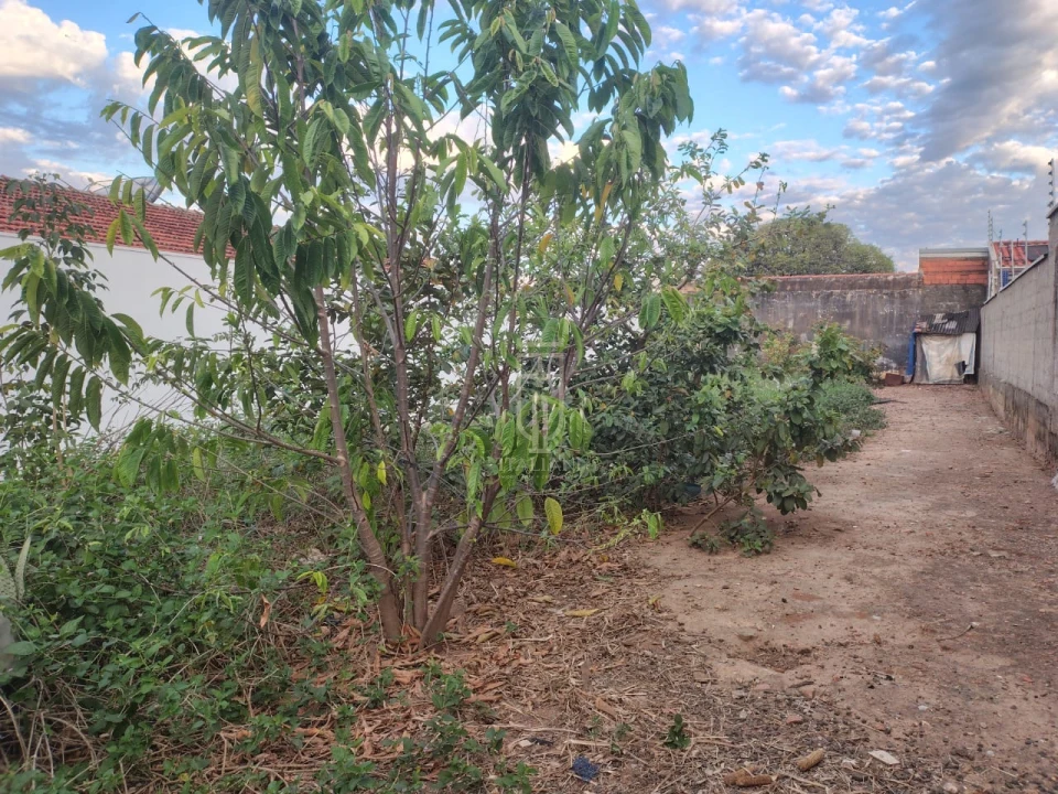 Imagens do imóveis Terreno Lote 300 M² - Jardim Cintra Mogi Mirim