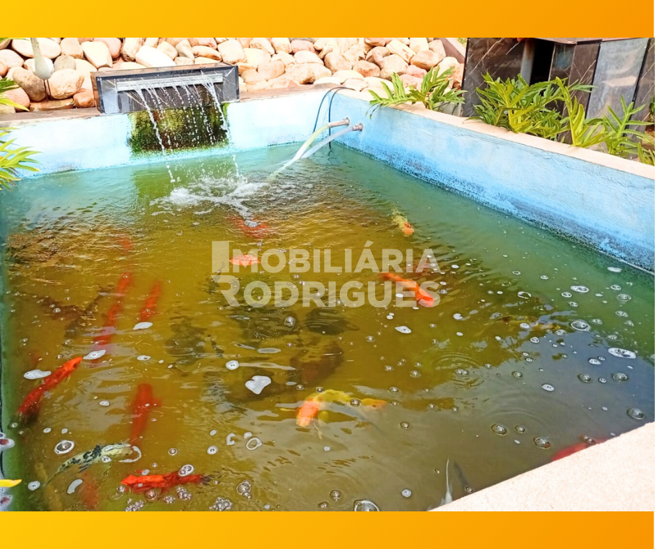 Imagens do imóveis Apartamento Para Alugar Residencial Ana Célia São José Do Rio Preto