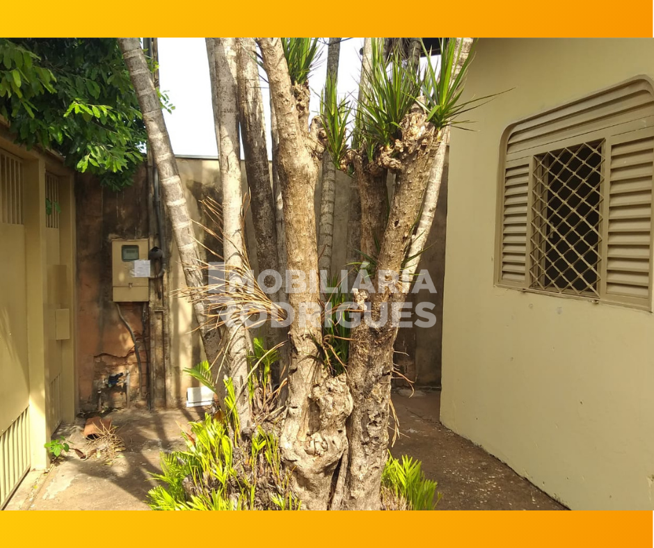 Imagens do imóveis Casa Para Alugar Solo Sagrado São José Do Rio Preto