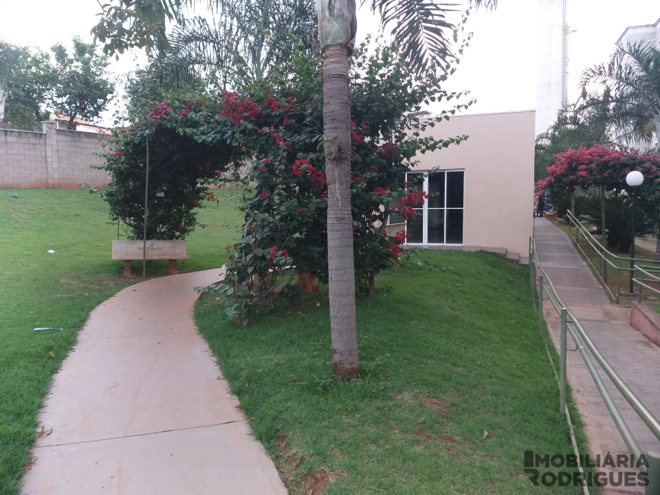 Imagens do imóveis Apartamento Para Alugar Residencial Ana Célia São José Do Rio Preto
