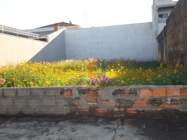 Imagens do imóveis Terreno à Venda no Dinkel I em São Manuel/SP - R. ABDO ELIAS AIRES