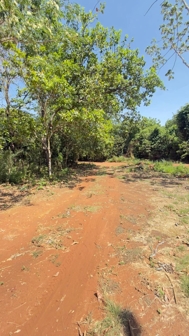 Imagens do imóveis Fazenda/Sítios/Chácaras Á Venda Sítios De Recreio Recanto Maria Flávia Rondonópolis