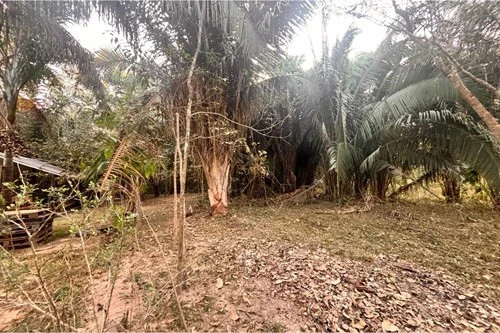 Imagens do imóveis Rancho na Rodovia do Peixe