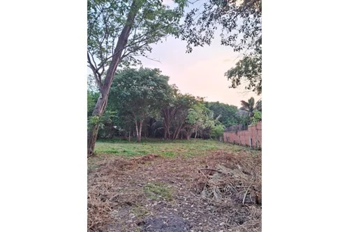 Imagens do imóveis Rancho na Rodovia do Peixe