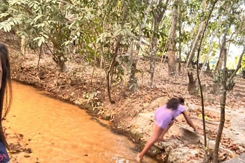 Imagens do imóveis Rancho na Rodovia do Peixe