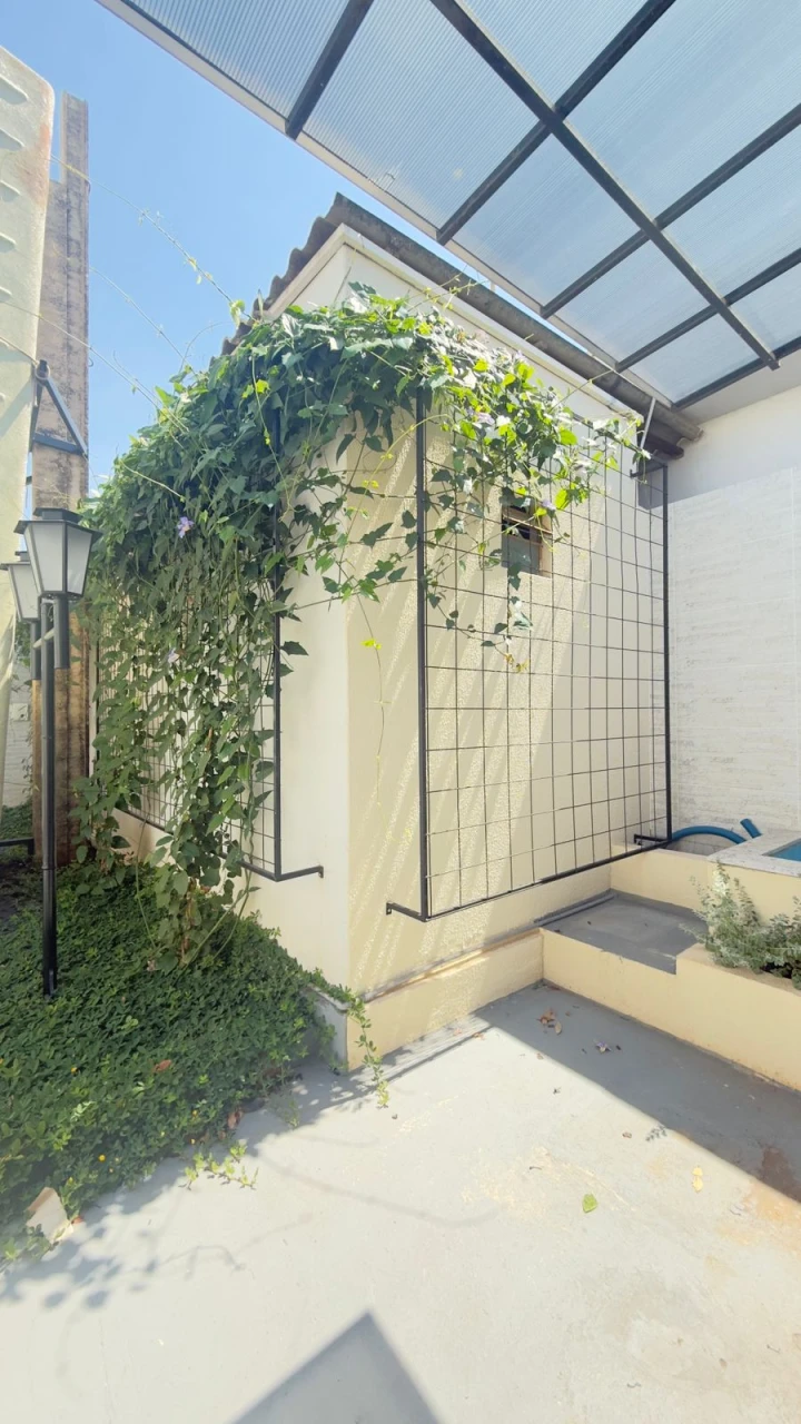 Imagens do imóveis Sala Comercial à Locação