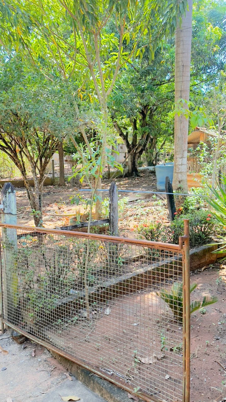 Imagens do imóveis Fazenda/Sítios/Chácaras Á Venda Sítios De Recreio Recanto Maria Flávia Rondonópolis