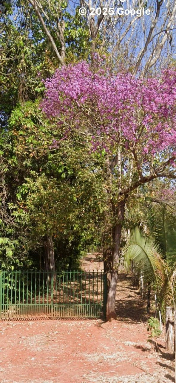 Imagens do imóveis Rancho na Rodovia do Peixe