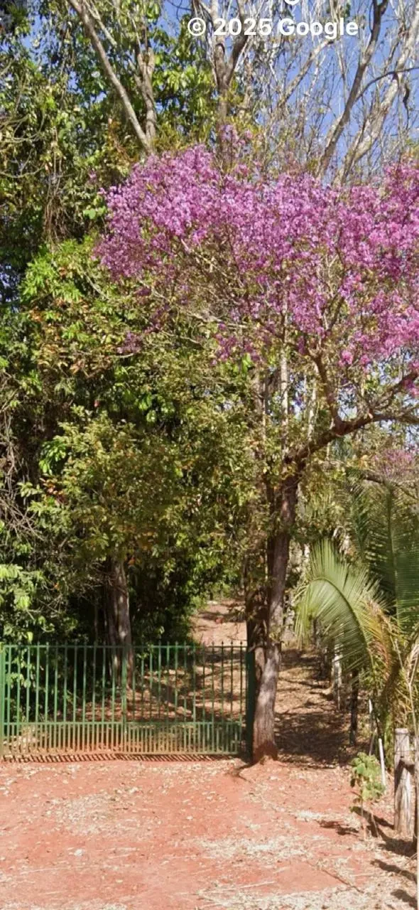 Imagens do imóveis Rancho na Rodovia do Peixe