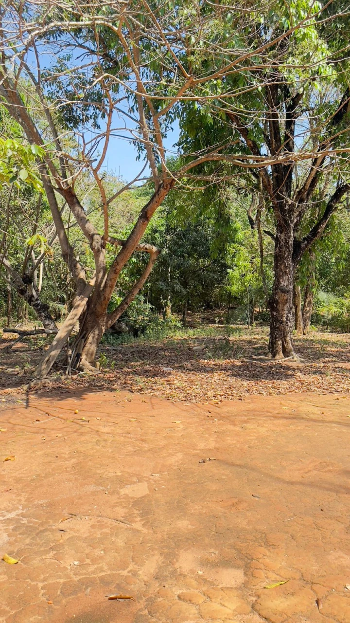 Imagens do imóveis Fazenda/Sítios/Chácaras Á Venda Sítios De Recreio Recanto Maria Flávia Rondonópolis
