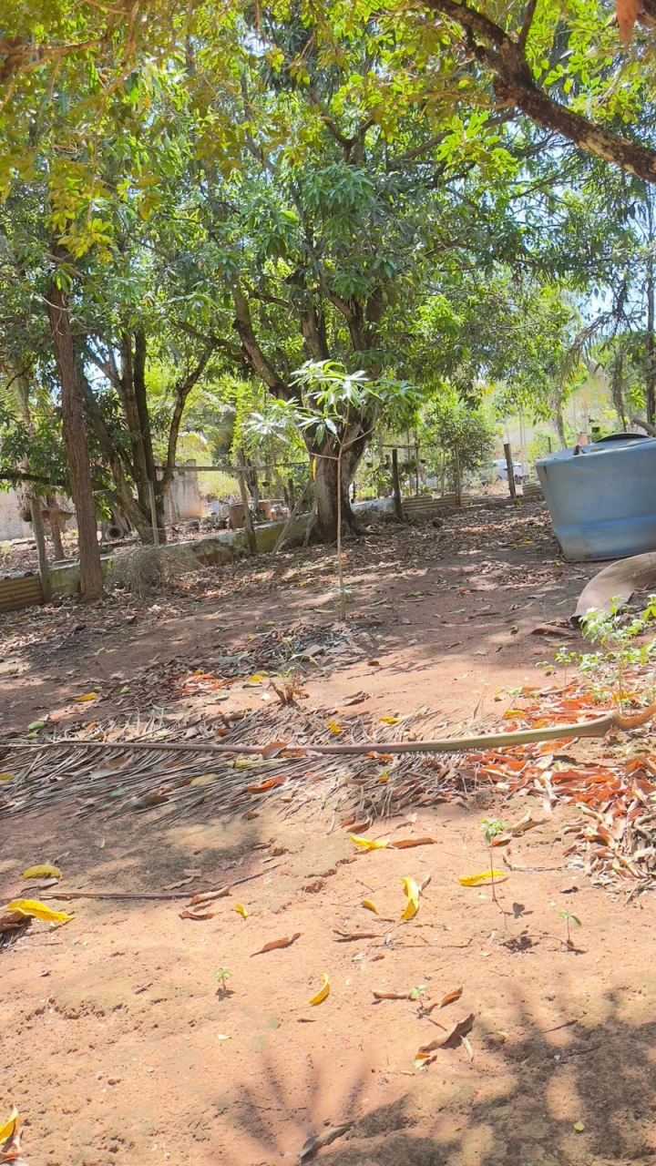 Imagens do imóveis Fazenda/Sítios/Chácaras Á Venda Sítios De Recreio Recanto Maria Flávia Rondonópolis