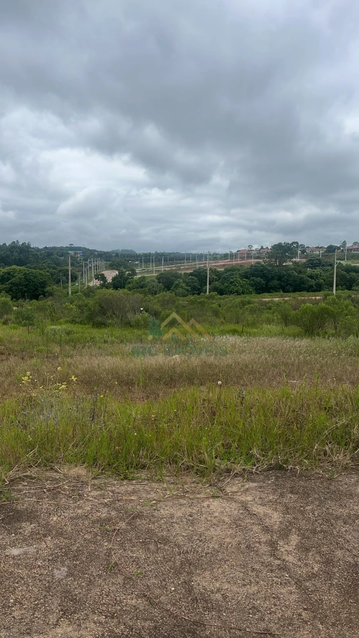 TERRENO - IMIGRANTES