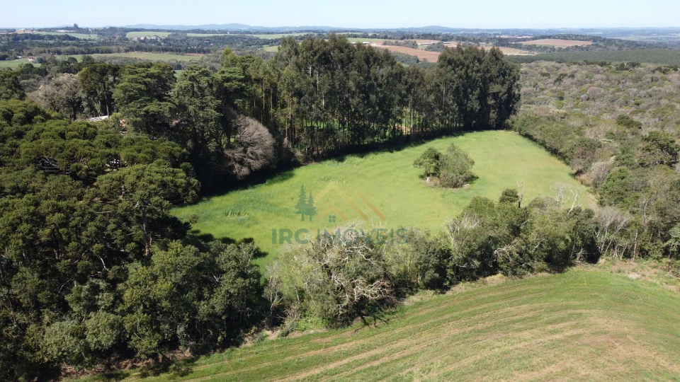 Terreno - Catanduvas