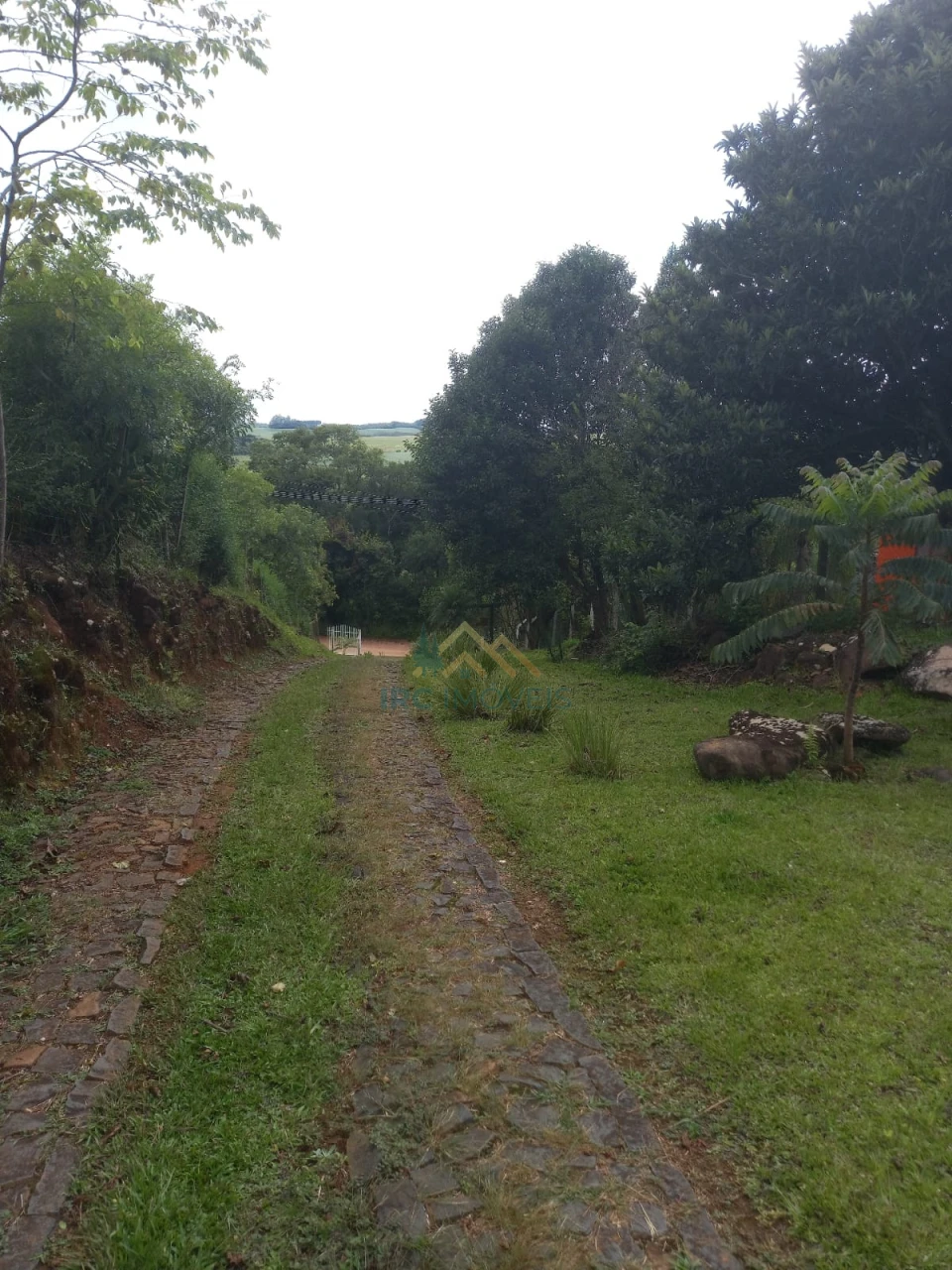 Chácara - Catanduva