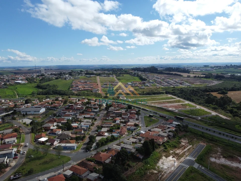 TERRENO - TULIPAS