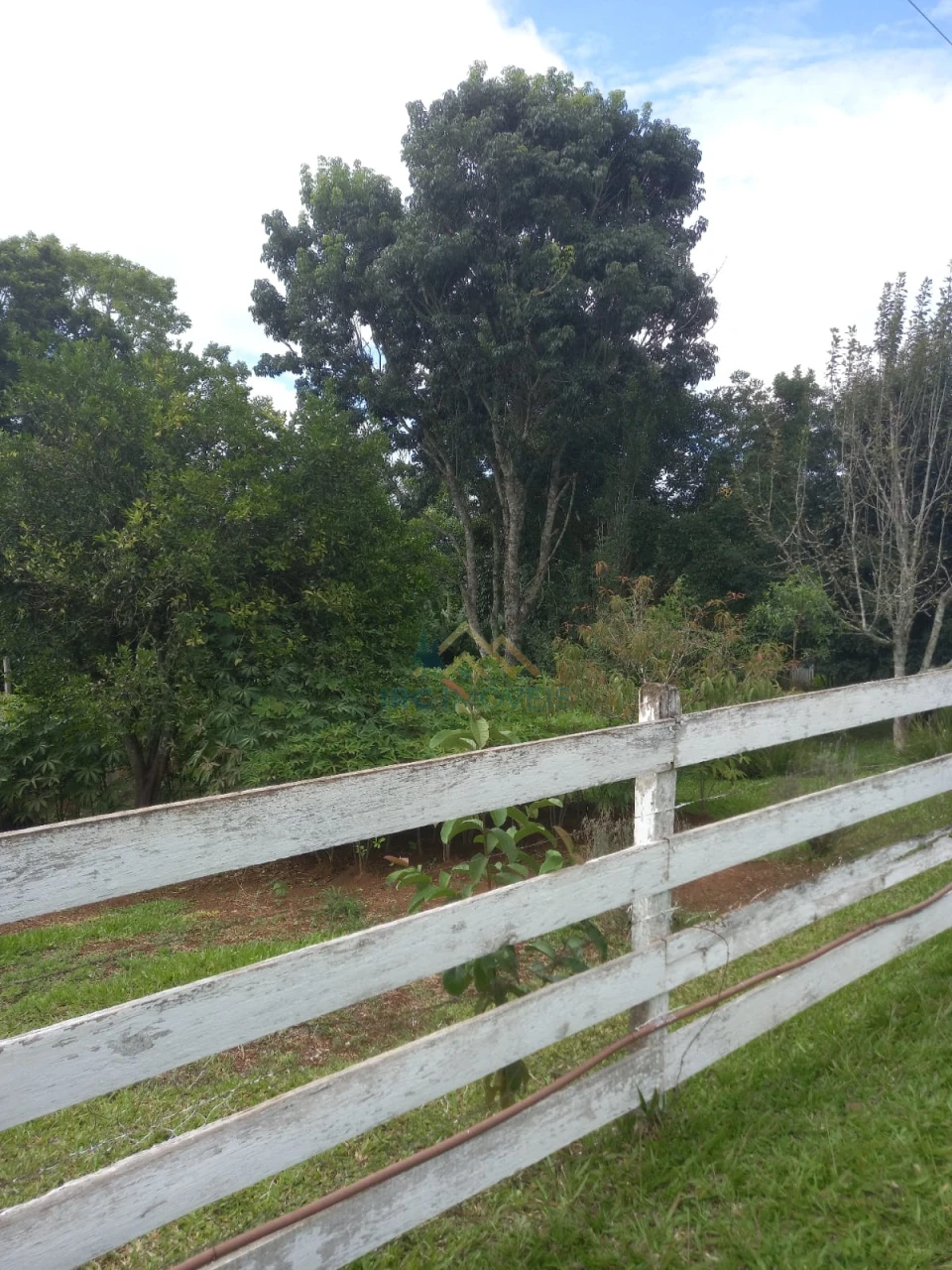 Chácara - Catanduva