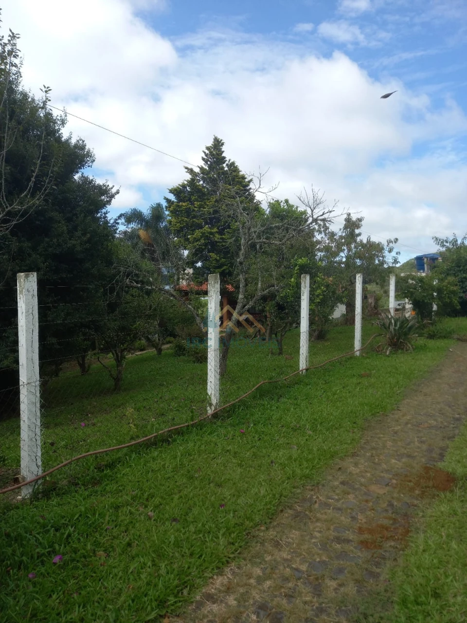 Chácara - Catanduva