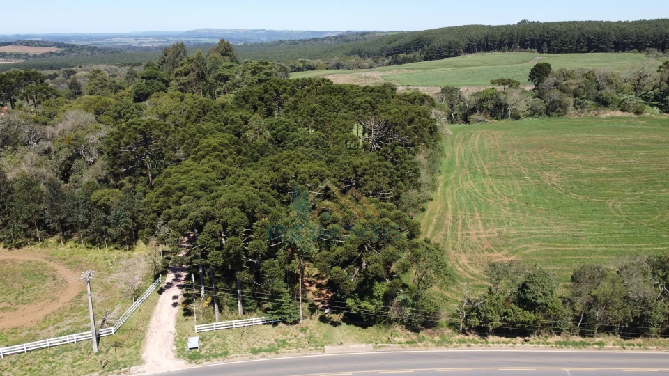 Terreno - Catanduvas