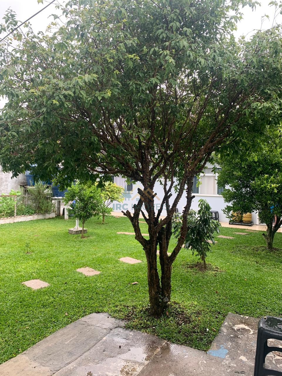 Casa - Jardim Bela Vista III