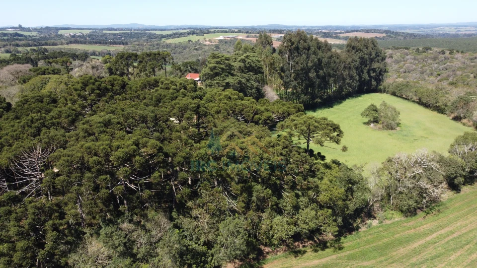 Terreno - Catanduvas