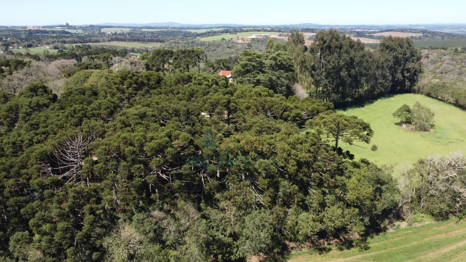 Terreno - Catanduvas