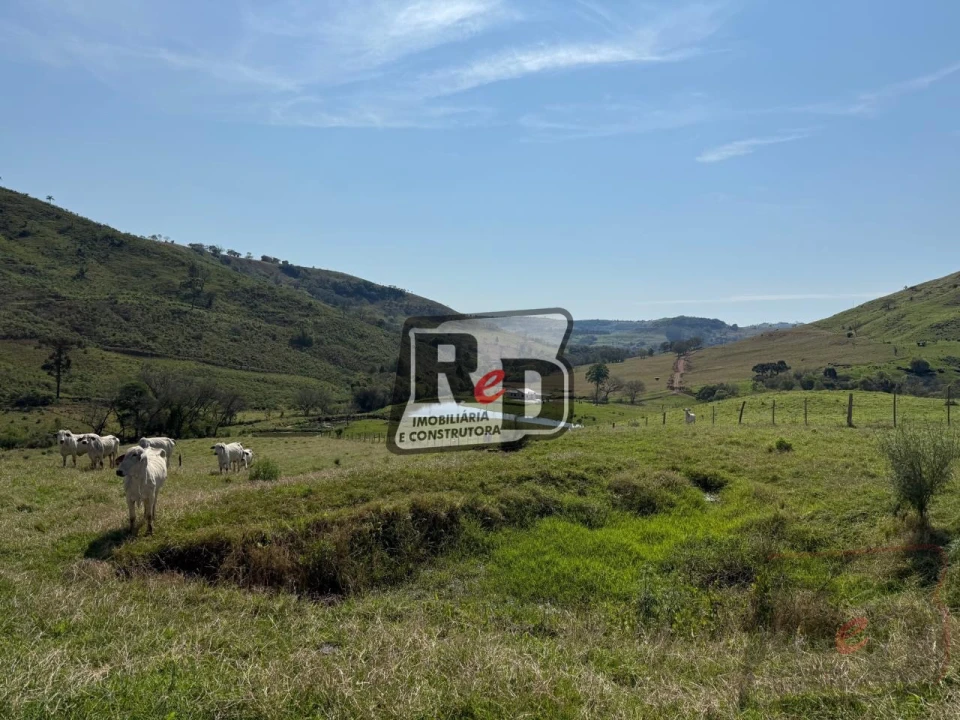 Imagens do imóveis Fazenda/Sítios/Chácaras Á Venda B Nova Laranjeiras