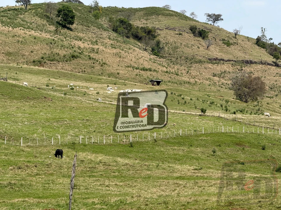 Imagens do imóveis Fazenda/Sítios/Chácaras Á Venda B Nova Laranjeiras