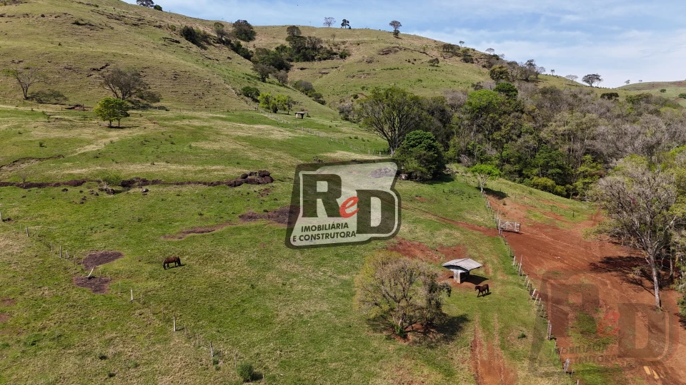 Imagens do imóveis Fazenda/Sítios/Chácaras Á Venda B Nova Laranjeiras