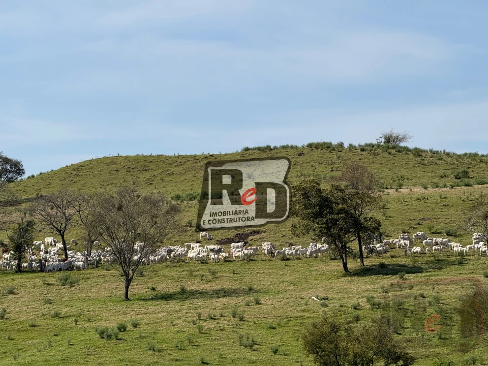 Imagens do imóveis Fazenda/Sítios/Chácaras Á Venda B Nova Laranjeiras