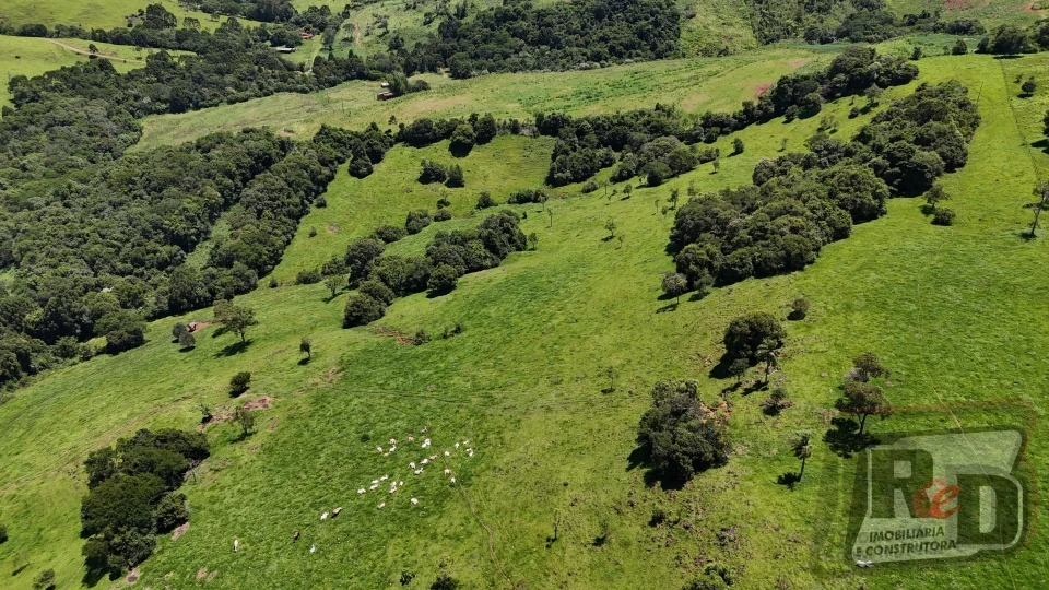 Vende-se sítio em Nova Laranjeiras/PR
