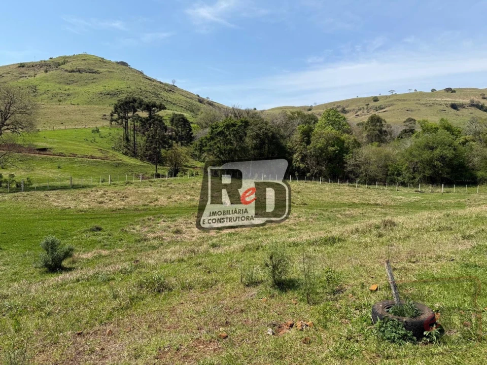 Imagens do imóveis Fazenda/Sítios/Chácaras Á Venda B Nova Laranjeiras