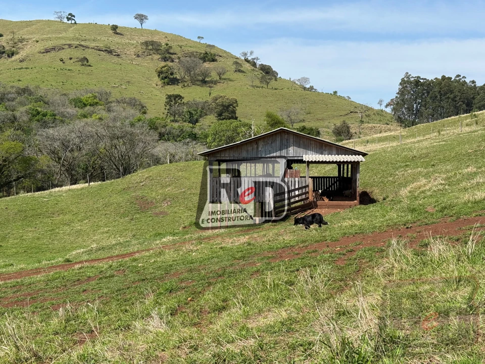 Imagens do imóveis Fazenda/Sítios/Chácaras Á Venda B Nova Laranjeiras