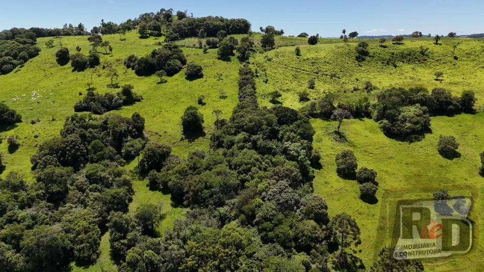 Vende-se sítio em Nova Laranjeiras/PR