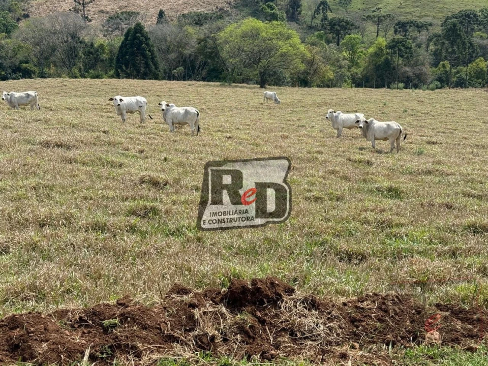 Imagens do imóveis Fazenda/Sítios/Chácaras Á Venda B Nova Laranjeiras