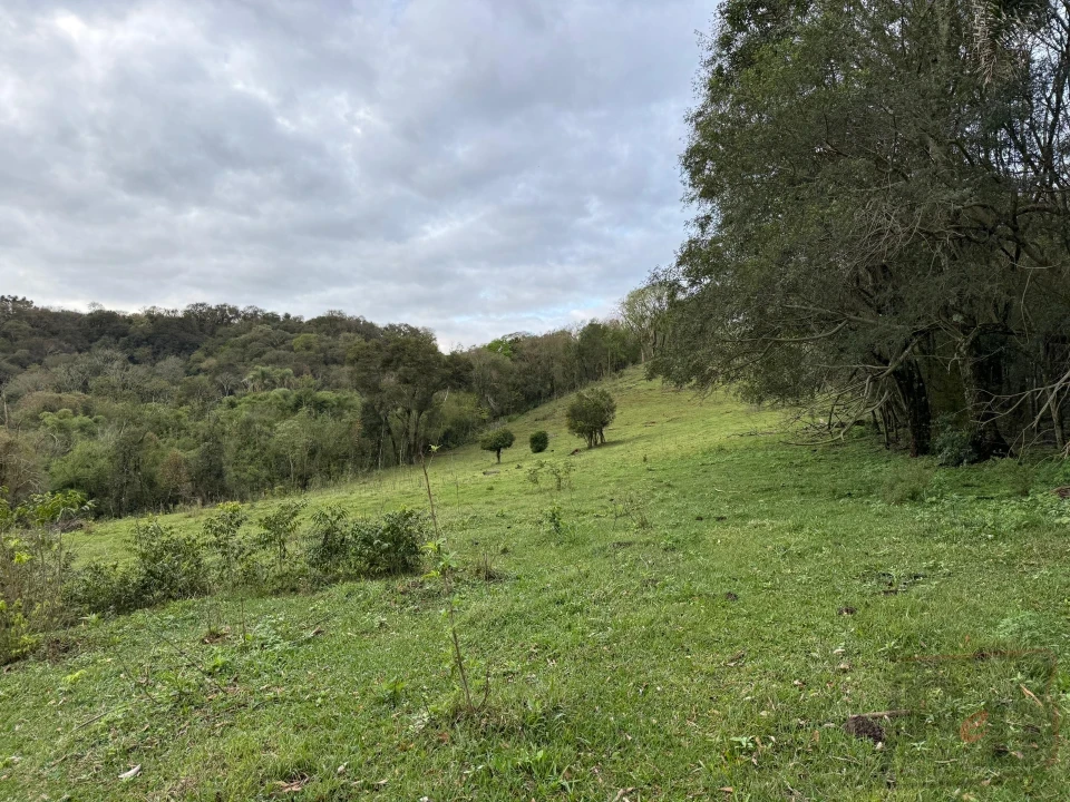 CHÁCARA À VENDA – MARQUINHO/PR