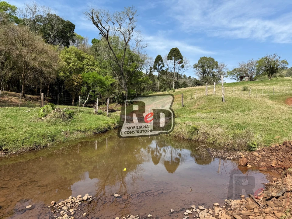 Imagens do imóveis Fazenda/Sítios/Chácaras Á Venda B Nova Laranjeiras