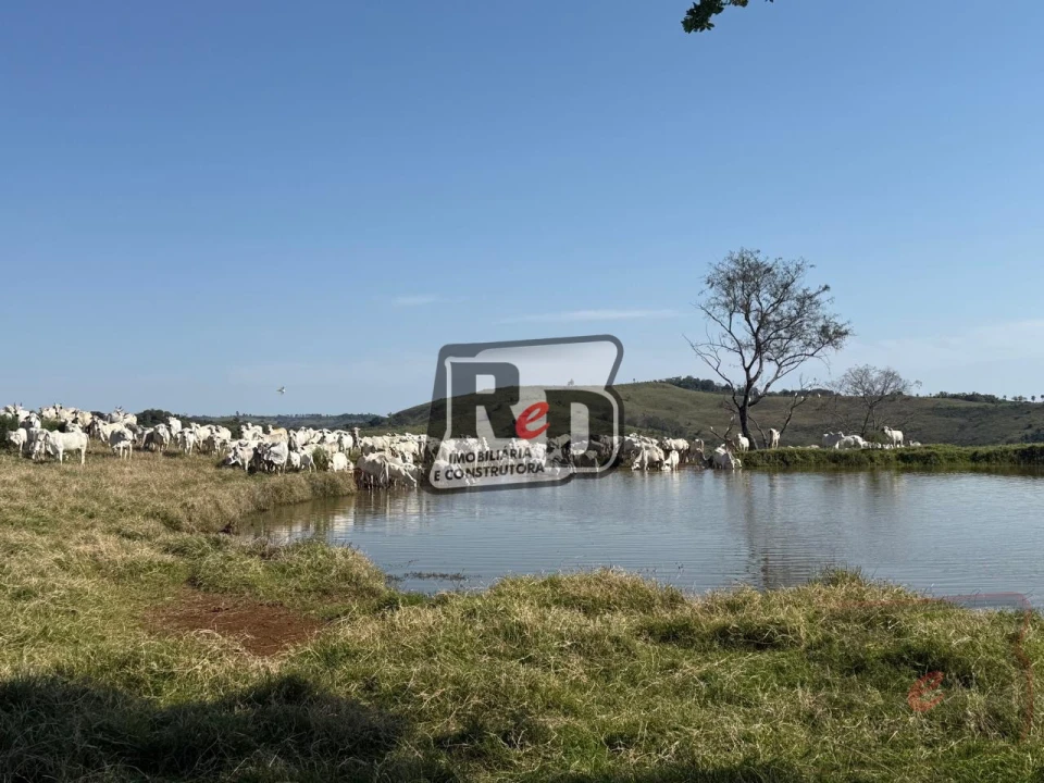 Imagens do imóveis Fazenda/Sítios/Chácaras Á Venda B Nova Laranjeiras