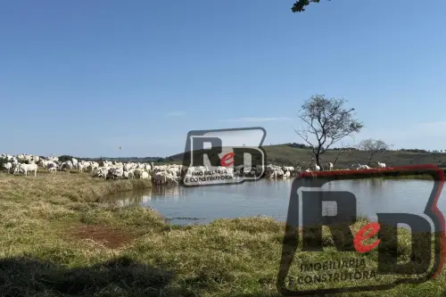 Fazenda/Sítios/Chácaras Á Venda B Nova Laranjeiras