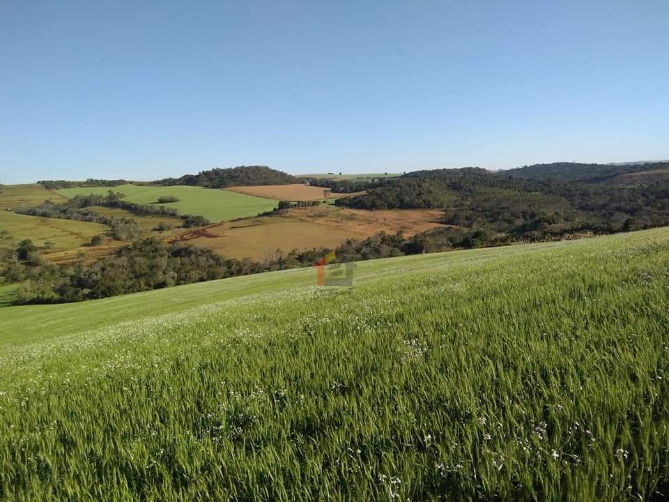 Imagens do imóveis Fazenda/Sítios/Chácaras Á Venda Parque Siomara Arapongas