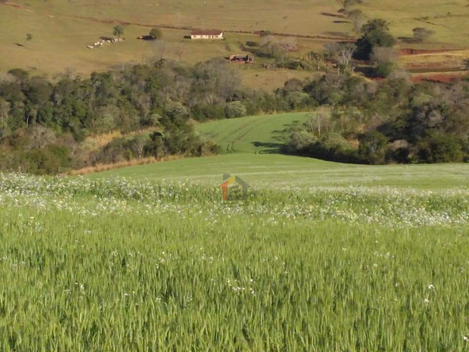 Imagens do imóveis Fazenda/Sítios/Chácaras Á Venda Parque Siomara Arapongas