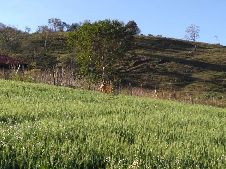 Imagens do imóveis Fazenda/Sítios/Chácaras Á Venda Parque Siomara Arapongas
