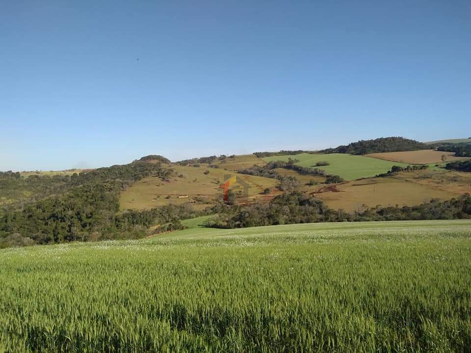 Imagens do imóveis Fazenda/Sítios/Chácaras Á Venda Parque Siomara Arapongas