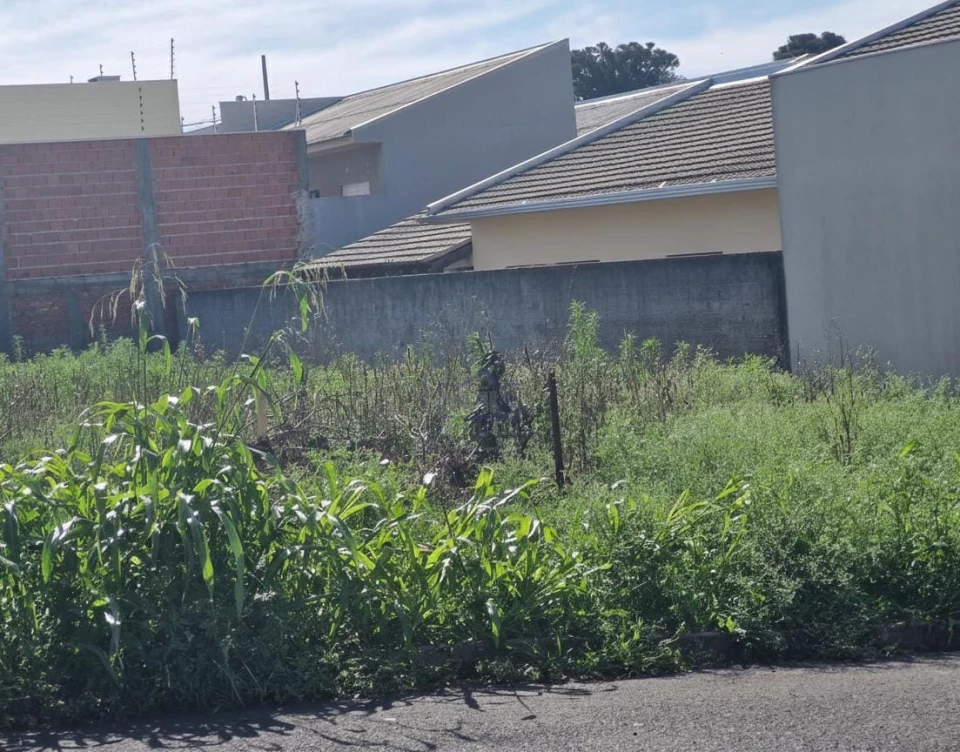 Imagens do imóveis Terreno à venda, Arapongas, PR