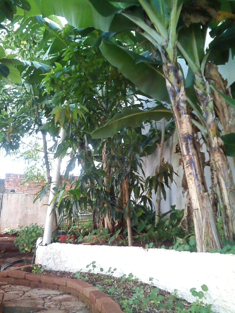 Imagens do imóveis Casa à venda 2 Quartos, 300M², Arapongas - PR