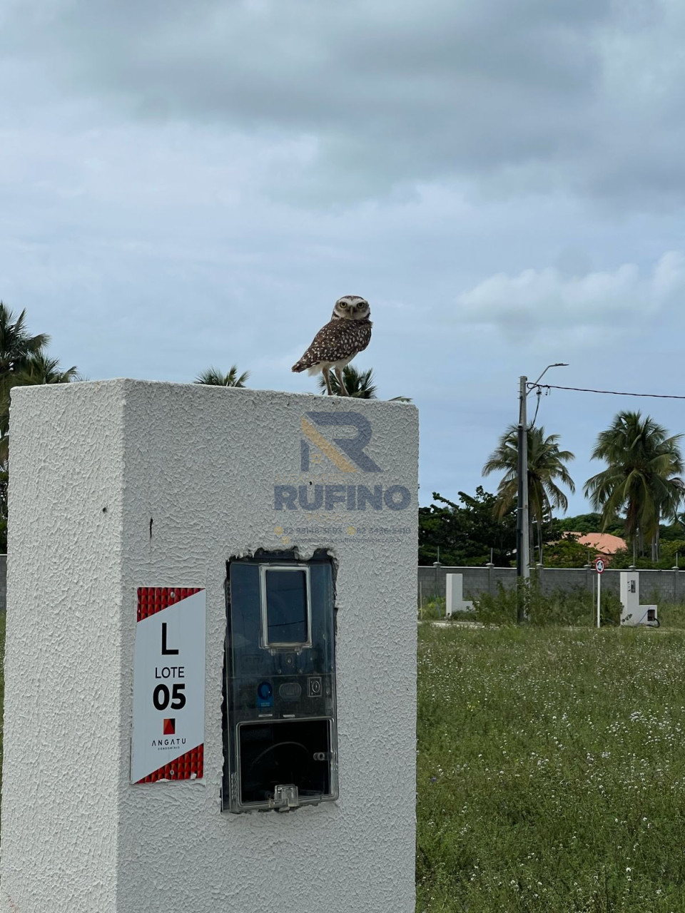Últimos - A Construção no Tamanho Perfeito Com Tudo Que Precisa no Alto Padrão no Seu Angatu a 10min de Maceió Imagens do imóveis Últimos - A Construção no Tamanho Perfeito Com Tudo Que Precisa no Alto Padrão no Seu Angatu a 10min de Maceió