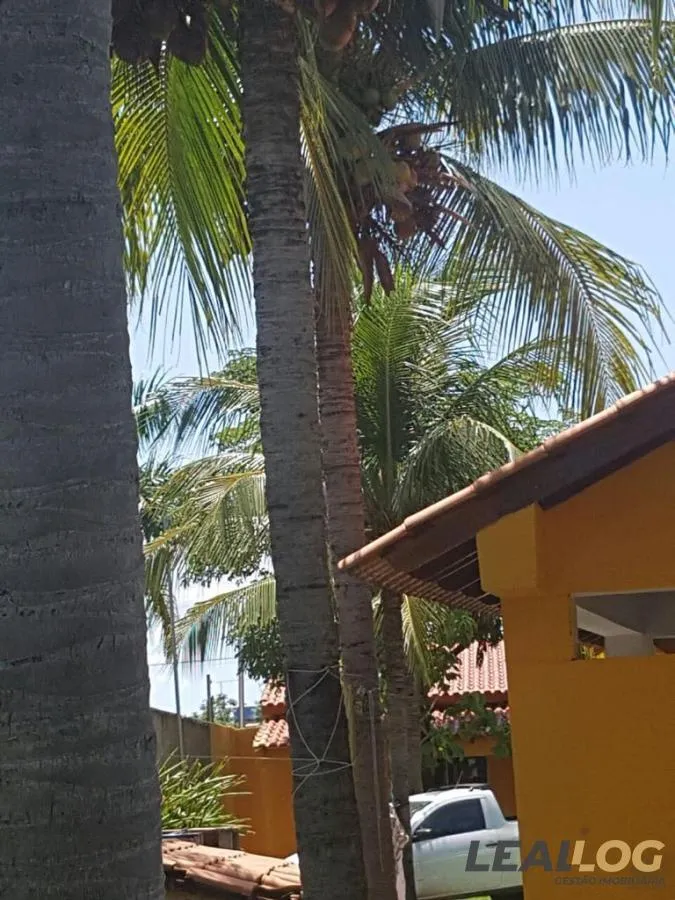 Imagens do imóveis Chácara para Venda em Cáceres / MT no bairro Alameda