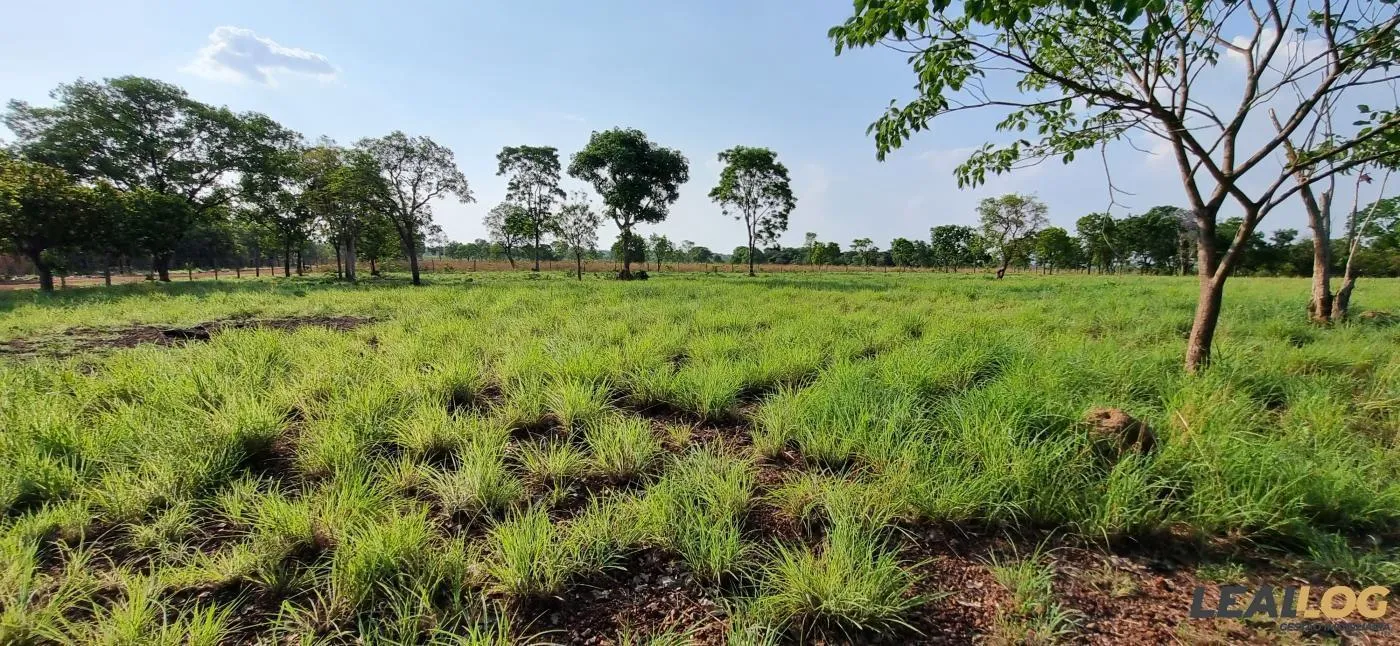 Imagens do imóveis Chácara para Venda em Cuiabá / MT no bairro Novo Mato Grosso