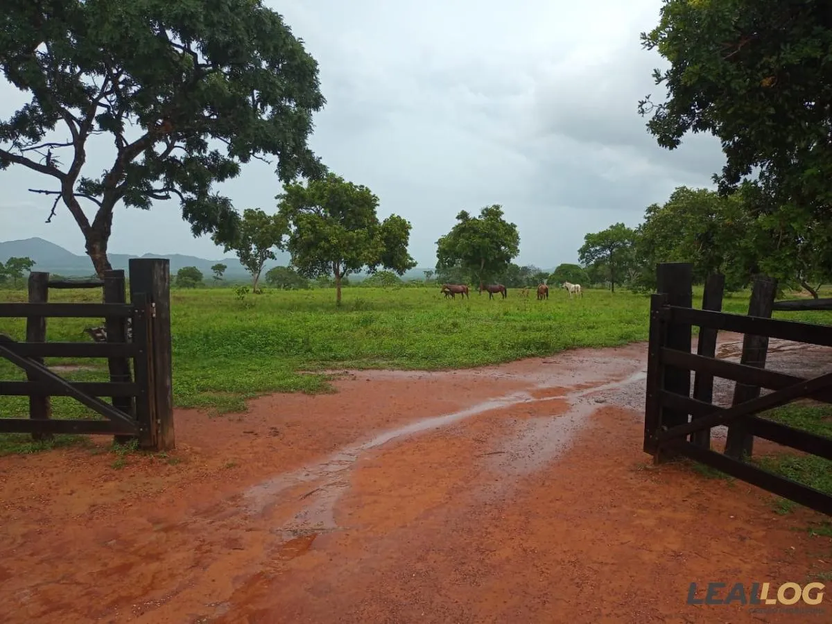 Fazenda para Venda em Jangada / MT no bairro Alameda